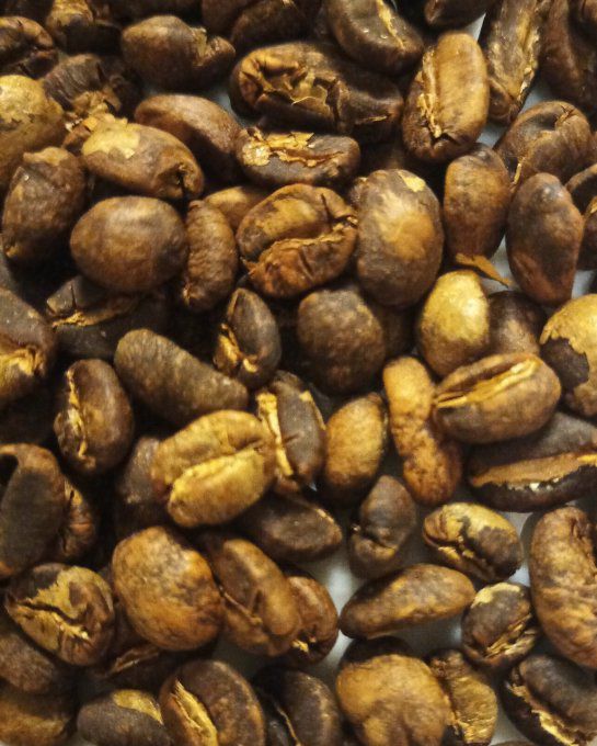 Indonésie Sumatra Gayo mountain