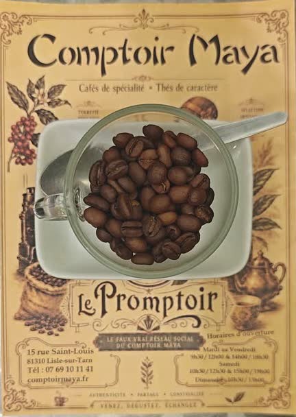 Ethiopie leporis